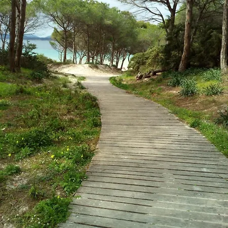 Casa Hola! 5 Min Near Lido Of Apartment *